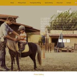 Web Design For Equestrian and Sports Clubs